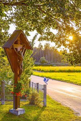 Thumbnail: 18_O5A3452 Schusterhiasl.jpg